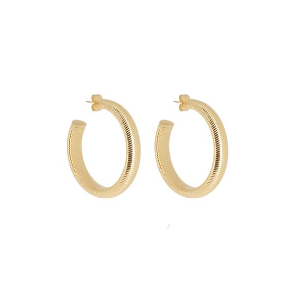 ZAG Earrings SEC25666-01UNI