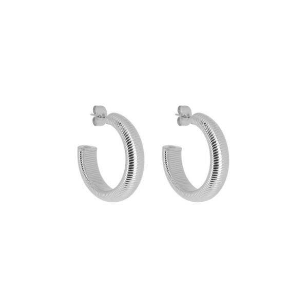 ZAG Earrings SEC25667-00UNI