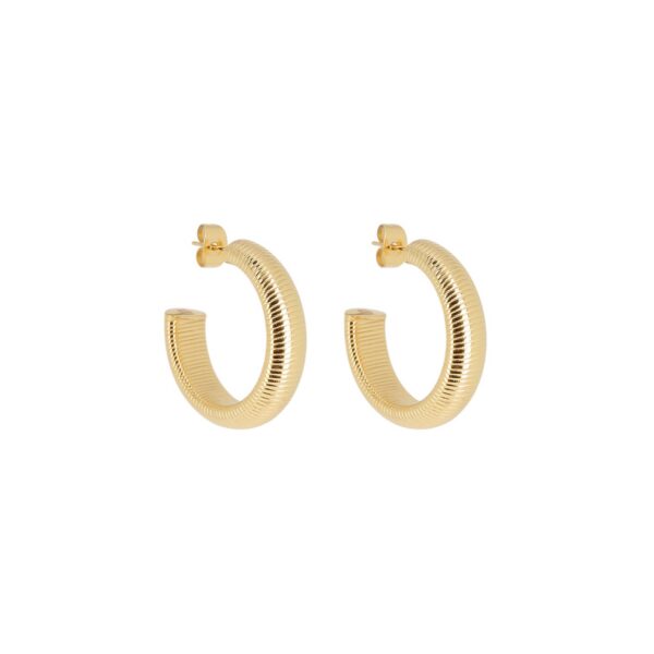 ZAG Earrings SEC25667-01UNI