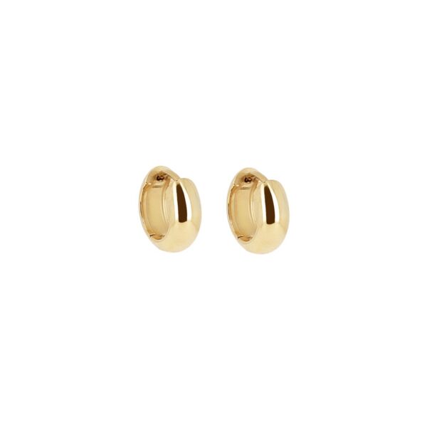 ZAG Earrings SEC26771-01UNI4X7