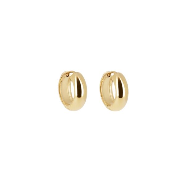 ZAG Earrings SEC26771-01UNI5X10
