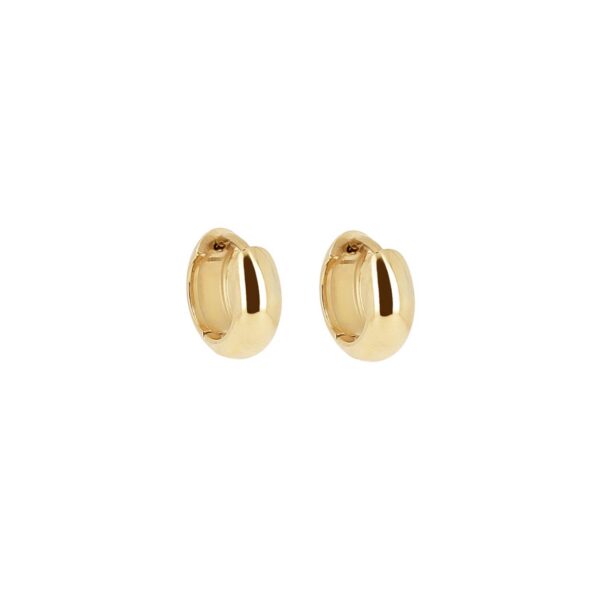 ZAG Earrings SEC26771-01UNI5X8