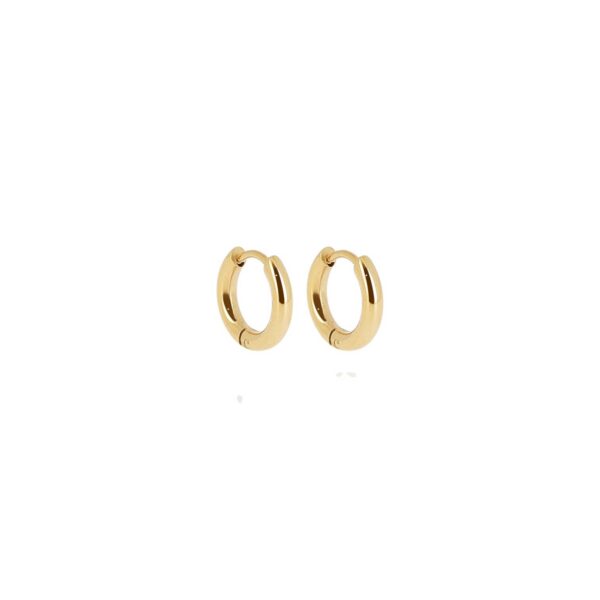 ZAG Earrings SEC5838-01UNI