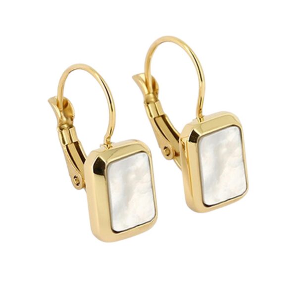ZAG Earrings SED18842-01SEL