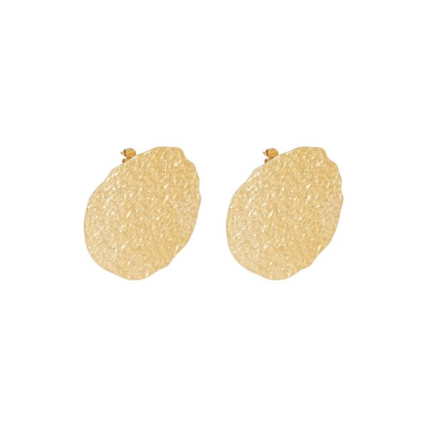 ZAG Earrings SEL24819-01UNI