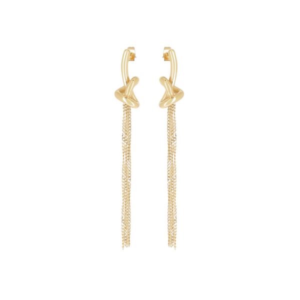 ZAG Earrings SEL25292-01UNI