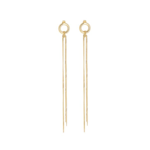 ZAG Earrings SEL25458-01UNI