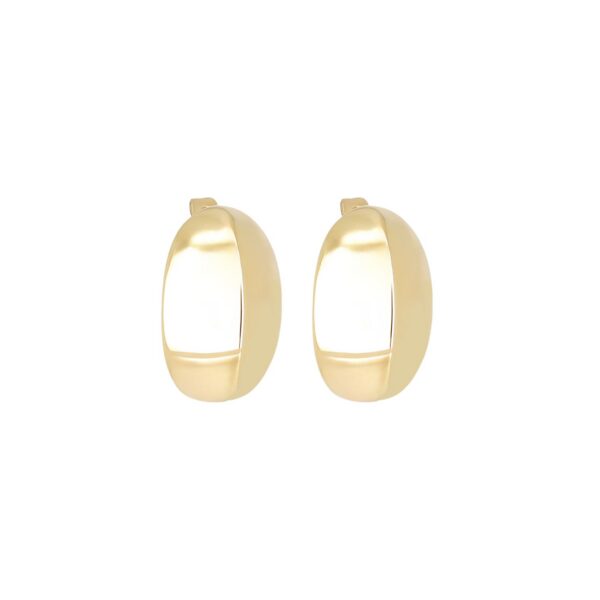 ZAG Earrings SEL26595-01UNI