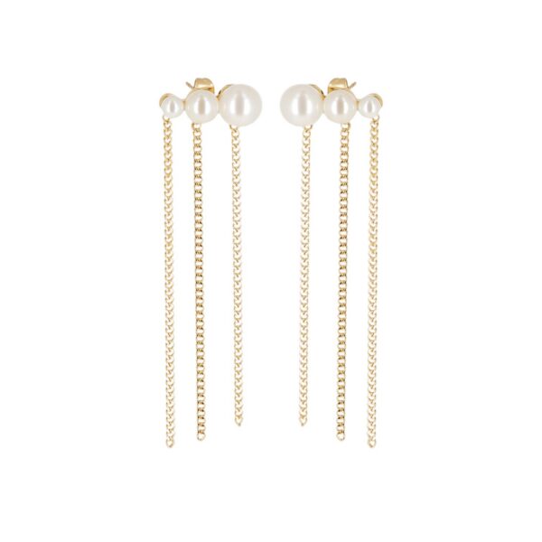 ZAG Earrings SEL27583-01SEL