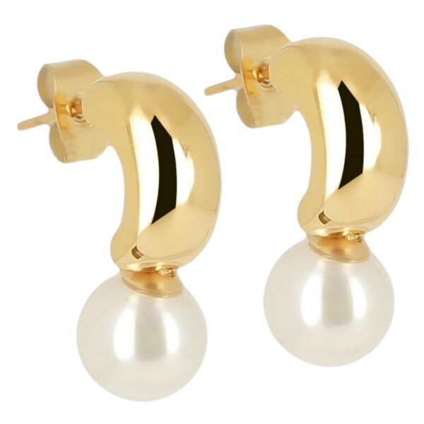 ZAG Earrings SEM21819-01SEL