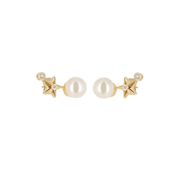 ZAG Earrings SEM27578-01SEL