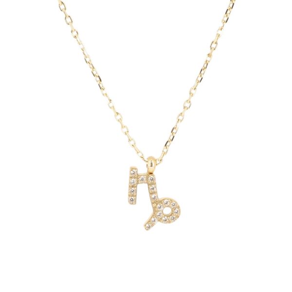 ZAG Necklace SNS19816-00WHT