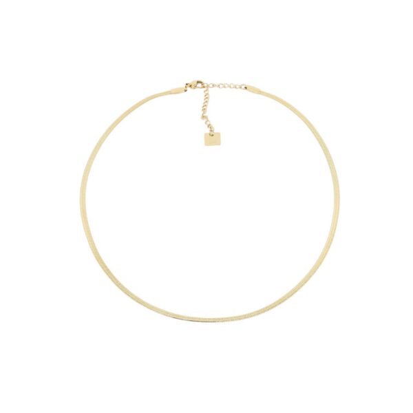 ZAG Necklace SNS7232-01UNI