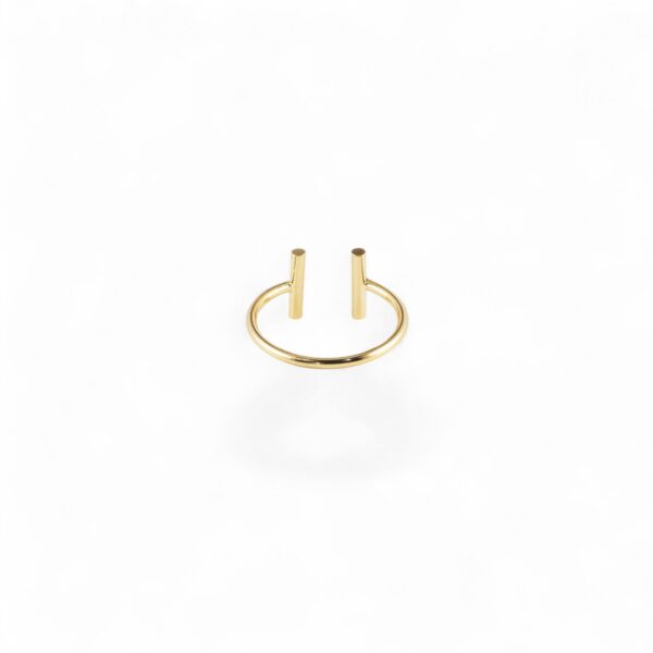 ZAG Ring SRR1642-01UNI