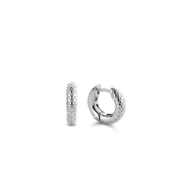 TI SENTO - Milano Earrings