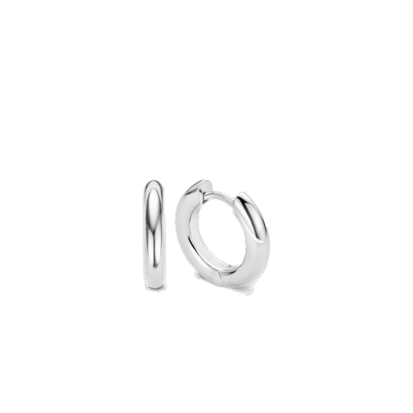 TI SENTO - Milano Earrings