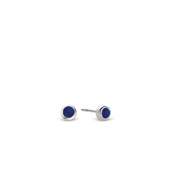 TI SENTO - Milano Earrings