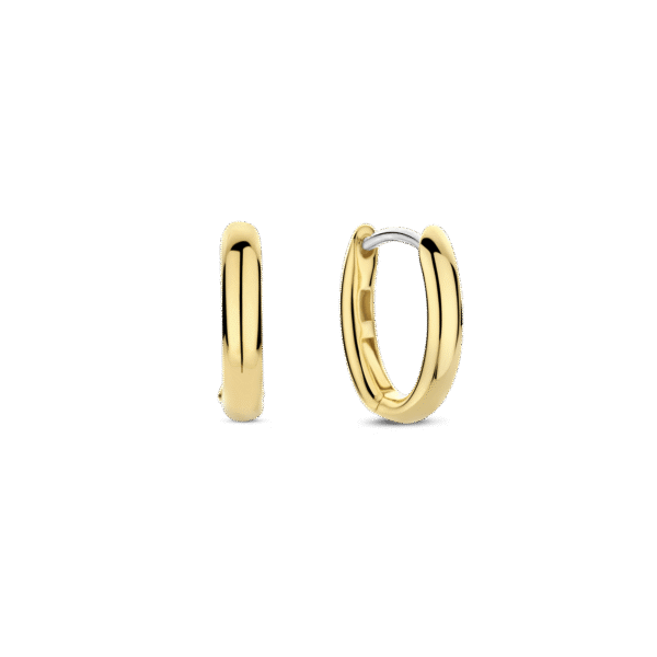 TI SENTO Earrings 7759SY