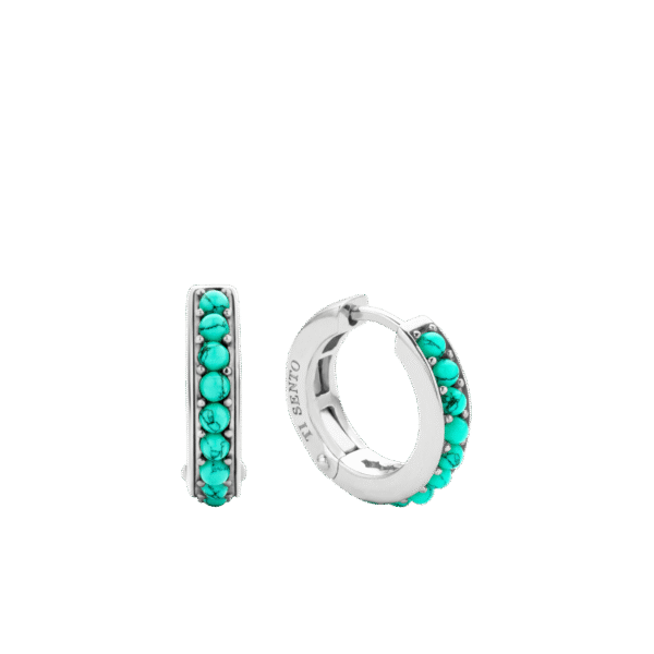 TI SENTO - Milano Earrings