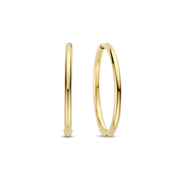 TI SENTO Earrings 78007SY