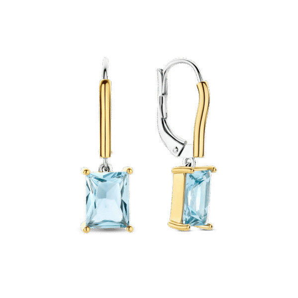 TI SENTO Earrings 78064TY