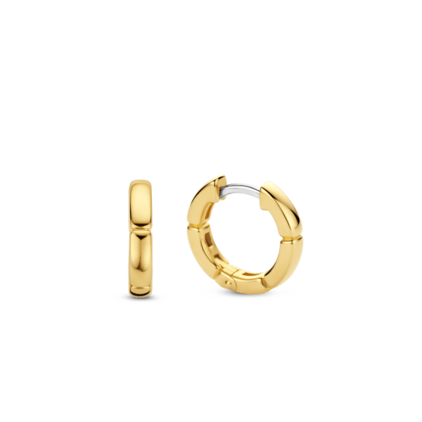 TI SENTO - Milano Earrings