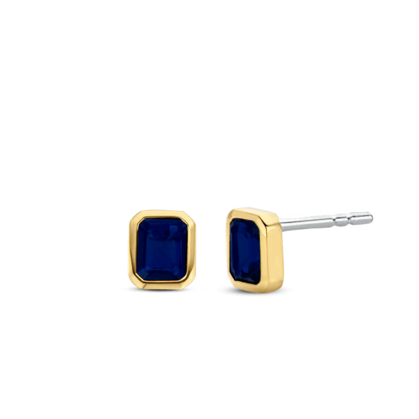 TI SENTO - Milano Earrings