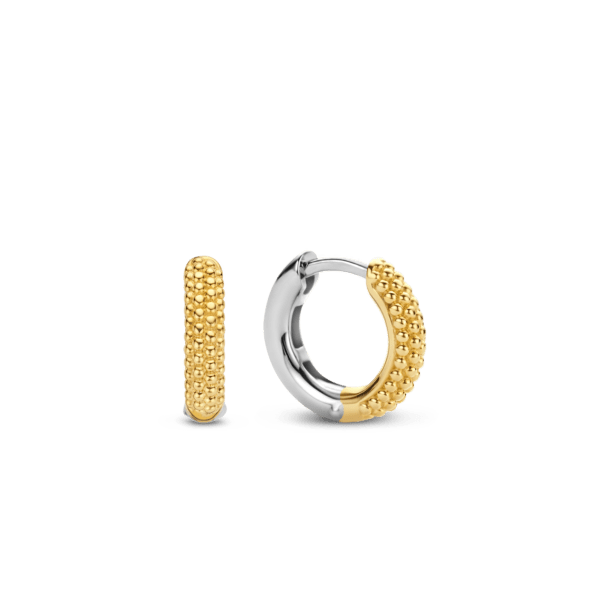 TI SENTO - Milano Earrings