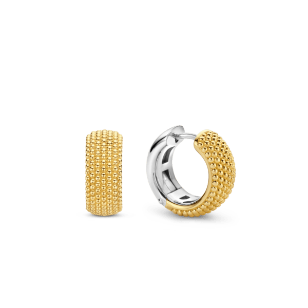 TI SENTO - Milano Earrings