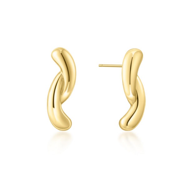 Ania Haie Earrings E077-05G