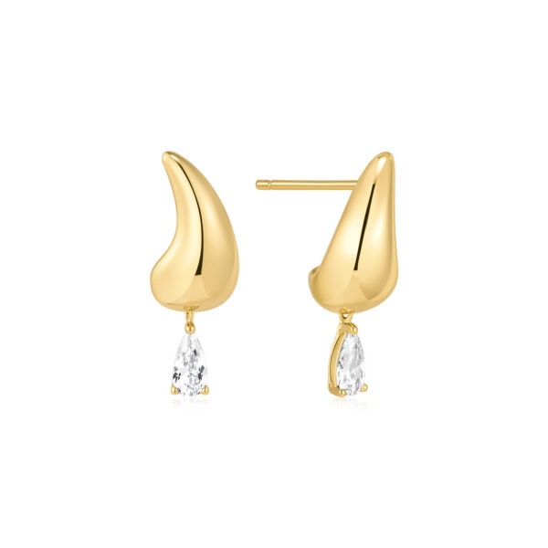 Ania Haie Earrings E078-04G