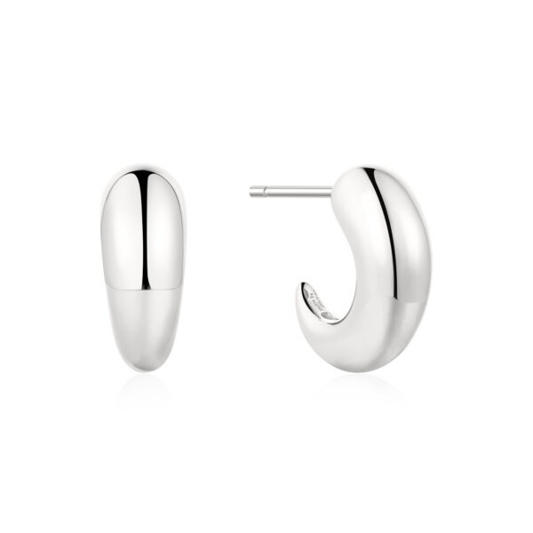 Ania Haie Earrings E078-06H