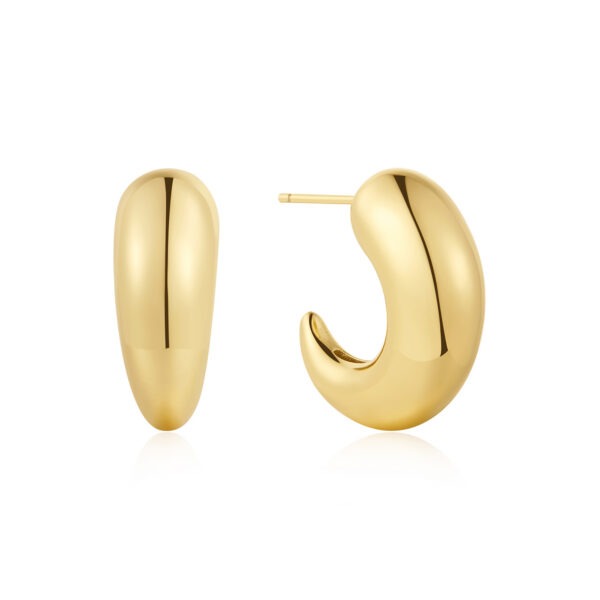 Ania Haie Earrings E078-07G