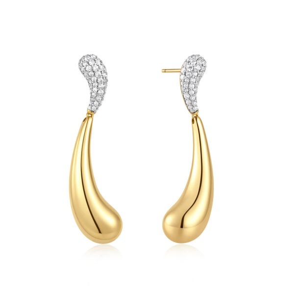 Ania Haie Earrings E078-14G