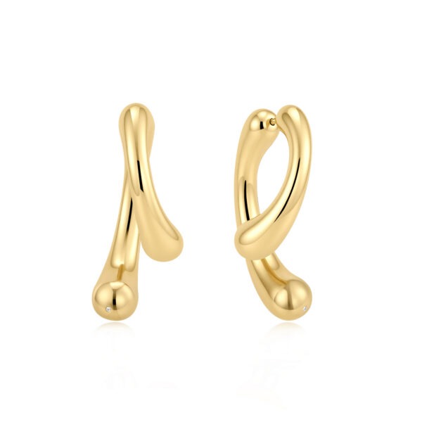 Ania Haie Earrings E078-16G