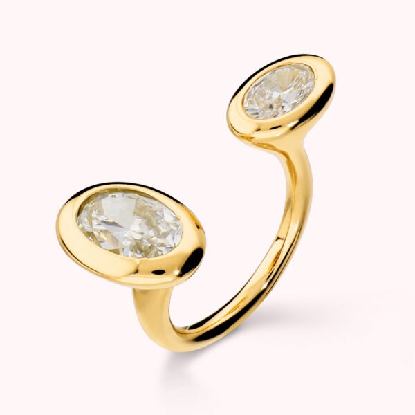BRONZALLURE Ring WSBZ02769Y.WR