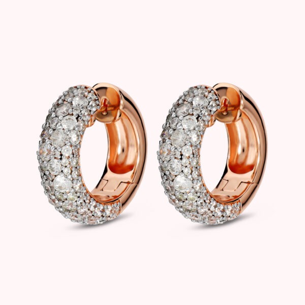 BRONZALLURE Earrings WSBZ02709.WR