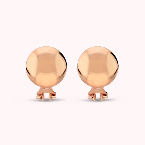 BRONZALLURE Earrings WSBZ02770.R