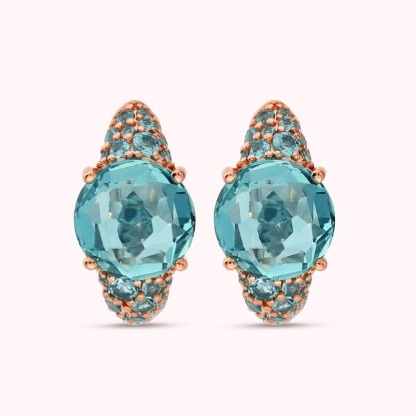 BRONZALLURE Earrings WSBZ02610.PA