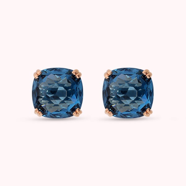 BRONZALLURE Earrings WSBZ02657.SP