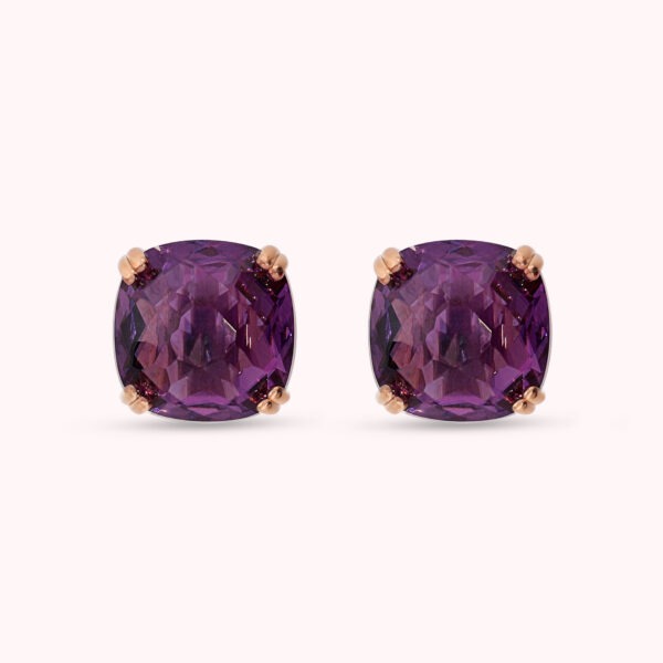BRONZALLURE Earrings WSBZ02657.AM