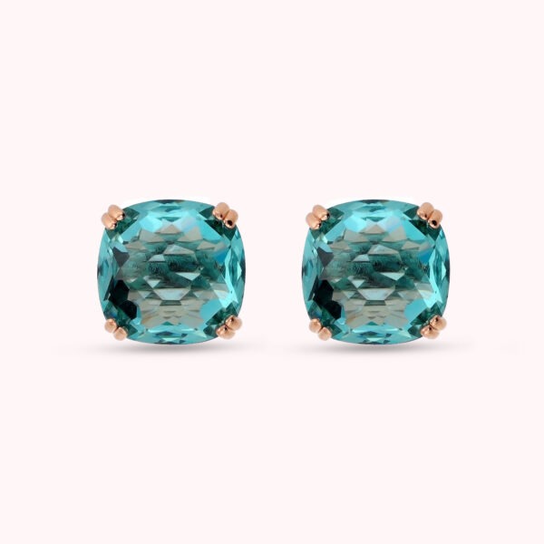 BRONZALLURE Earrings WSBZ02657.PA