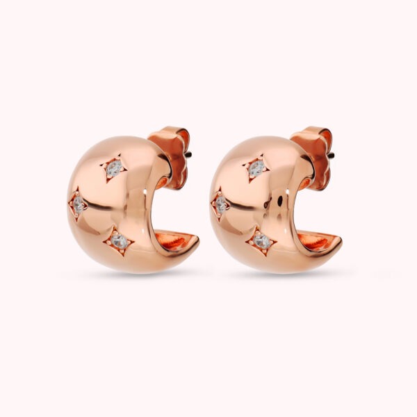 BRONZALLURE Earrings WSBZ02734.WR