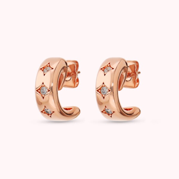 BRONZALLURE Earrings WSBZ02735.WR