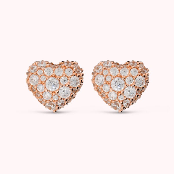 BRONZALLURE Earrings WSBZ02728.WR