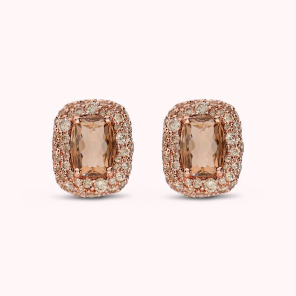 BRONZALLURE Earrings WSBZ02763.TT
